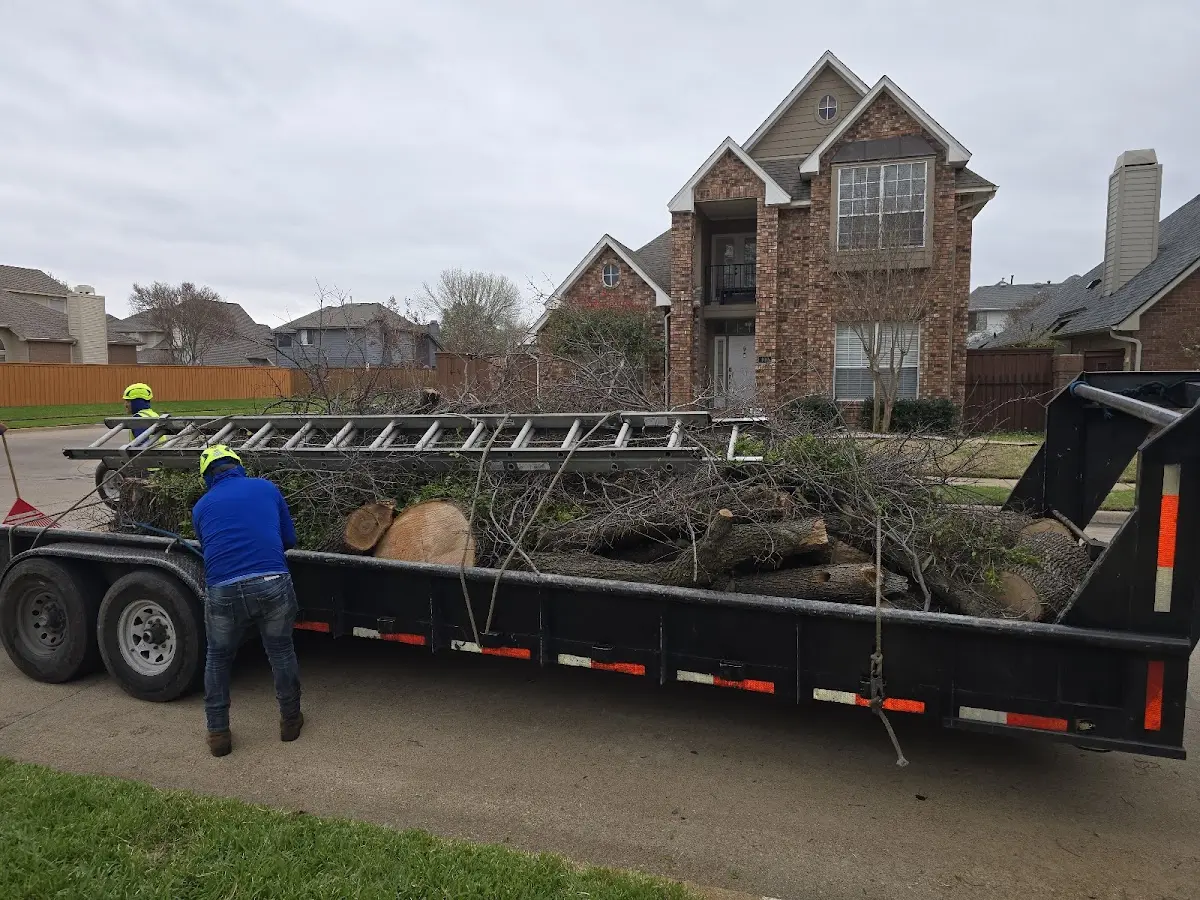 Expert Lot Clearing with proper safety equipment in Guide Rock